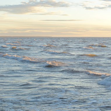 Gün batımında Baltık Denizi. Dramatik gökyüzü, mavi ve pembe parlayan bulutlar, altın güneş ışığı. Dalgalar, su sıçratma. Resimli manzara, deniz manzarası, doğa. Panoramik görünüm