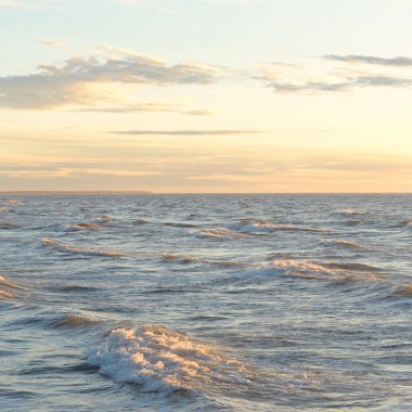 Gün batımında Baltık Denizi. Dramatik gökyüzü, mavi ve pembe parlayan bulutlar, altın güneş ışığı. Dalgalar, su sıçratma. Resimli manzara, deniz manzarası, doğa. Panoramik görünüm