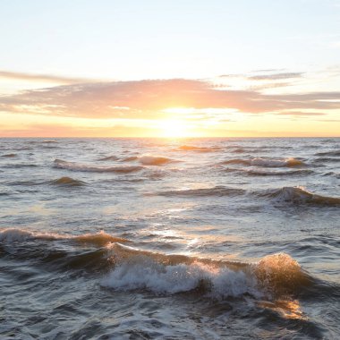 Gün batımında Baltık Denizi. Dramatik gökyüzü, mavi ve pembe parlayan bulutlar, altın güneş ışığı. Dalgalar, su sıçratma. Resimli manzara, deniz manzarası, doğa. Panoramik görünüm