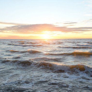 Gün batımında Baltık Denizi. Dramatik gökyüzü, mavi ve pembe parlayan bulutlar, altın güneş ışığı. Dalgalar, su sıçratma. Resimli manzara, deniz manzarası, doğa. Panoramik görünüm