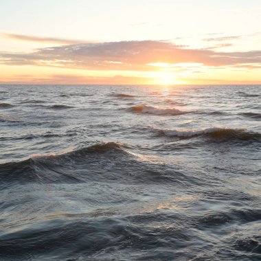 Gün batımında Baltık Denizi. Dramatik gökyüzü, mavi ve pembe parlayan bulutlar, altın güneş ışığı. Dalgalar, su sıçratma. Resimli manzara, deniz manzarası, doğa. Panoramik görünüm