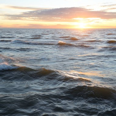 Gün batımında Baltık Denizi. Dramatik gökyüzü, mavi ve pembe parlayan bulutlar, altın güneş ışığı. Dalgalar, su sıçratma. Resimli manzara, deniz manzarası, doğa. Panoramik görünüm