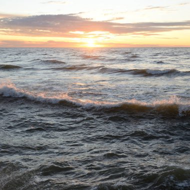Gün batımında Baltık Denizi. Dramatik gökyüzü, mavi ve pembe parlayan bulutlar, altın güneş ışığı. Dalgalar, su sıçratma. Resimli manzara, deniz manzarası, doğa. Panoramik görünüm
