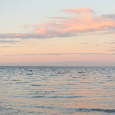 Gün batımında Baltık Denizi. Dramatik gökyüzü, mavi ve pembe parlayan bulutlar, altın güneş ışığı. Dalgalar, su sıçratma. Resimli manzara, deniz manzarası, doğa. Panoramik görünüm