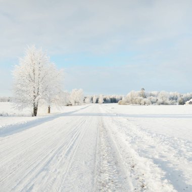 Güneşli bir günde karla kaplı tarlaların ve köyün içinden geçen yol. Arka plandaki kır evleri. Idyllic manzara. Noel tatilleri, eko turizm, yürüyüş, kayak, uzak yerler, off-road teması