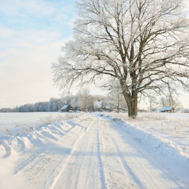Güneşli bir günde karla kaplı tarlaların ve köyün içinden geçen yol. Arka plandaki kır evleri. Idyllic manzara. Noel tatilleri, eko turizm, yürüyüş, kayak, uzak yerler, off-road teması