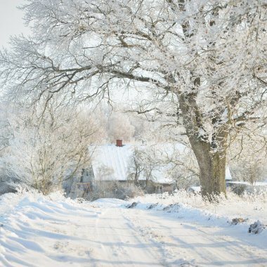 Güneşli bir günde karla kaplı tarlaların ve köyün içinden geçen yol. Arka plandaki kır evleri. Idyllic manzara. Noel tatilleri, eko turizm, yürüyüş, kayak, uzak yerler, off-road teması
