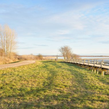 Modern ahşap yürüyüş yolu (bisiklet yolu, tahta yol). Eğlence alanı, orman parkı. Yumuşak güneş ışığı, açık gökyüzü. Baharın başında. Idyllic manzara. Doğa, çevre, ekoloji, eko-turizm, tatiller, hafta sonu