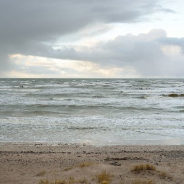 Fırtınadan sonra Baltık kıyıları (kum tepeleri, plaj). Dramatik gökyüzü, parlayan bulutlar. Resimli panoramik manzara. Doğa, çevre, ekoloji, eko-turizm, yürüyüş, keşif kavramları