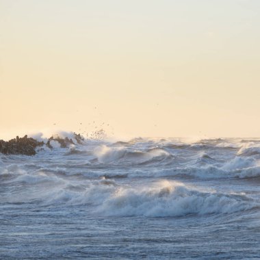 Gün batımında Baltık kıyısı. Yumuşak altın güneş ışığı, parlayan gökyüzü, dalgalar. Idyllic deniz manzarası. Seyahat yerleri, eko turizm, doğa, hava durumu, iklim değişikliği. Resimli panoramik manzara