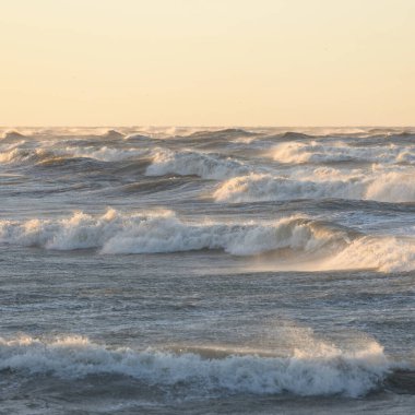 Gün batımında Baltık kıyısı. Yumuşak altın güneş ışığı, parlayan gökyüzü, dalgalar. Idyllic deniz manzarası. Seyahat yerleri, eko turizm, doğa, hava durumu, iklim değişikliği. Resimli panoramik manzara