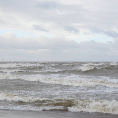 Fırtınadan sonra Baltık Denizi. Gün batımı. Resimli panoramik manzara, deniz manzarası. Doğa, çevre, sert hava, iklim değişikliği