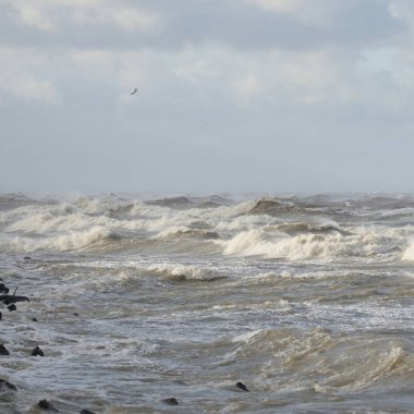 Fırtınadan sonra Baltık Denizi. Gün batımı. Resimli panoramik manzara, deniz manzarası. Doğa, çevre, sert hava, iklim değişikliği