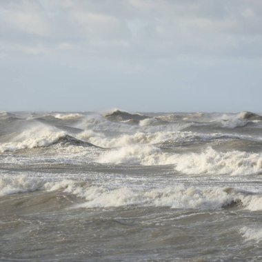 Fırtınadan sonra Baltık Denizi. Gün batımı. Resimli panoramik manzara, deniz manzarası. Doğa, çevre, sert hava, iklim değişikliği