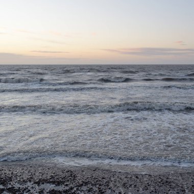 Gün batımında Baltık Denizi. Dramatik gökyüzü, mavi ve pembe parlayan bulutlar, altın güneş ışığı. Dalgalar, su sıçratma. Resimli manzara, deniz manzarası, doğa. Panoramik görünüm,