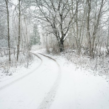Bulutlu bir kış gününde görkemli karla kaplı ormanda (kırsal yol) yol. Kar fırtınası sonrası kar tepeleri. Doğa, Noel tatilleri, eko-turizm, eğlence, yürüyüş, kayak, kuzey yürüyüşü.