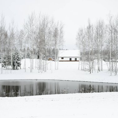 Orman nehri ve bulutlu bir kış gününde geleneksel yalnız ev. Kar fırtınası, kar tepeleri. Genç ladin ve huş ağaçları. Idyllic kırsal kesim. Noel tatilleri, ekolojik tatil beldeleri, uzak yerler