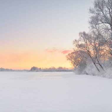 Gün doğumunda karla kaplı alanın (orman çayırı) atmosferik manzarası. Saf altın güneş ışığı. Kar tepeleri. Kış Harikalar Diyarı. Mevsimler, eko-turizm, Noel tatilleri, uzak yerler, off-road