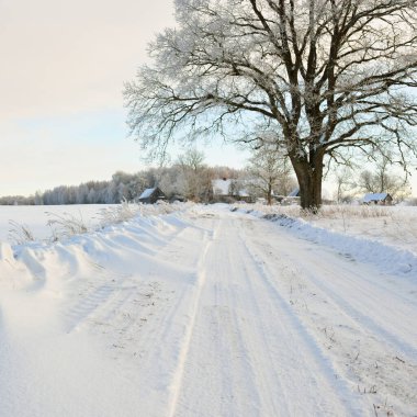 Güneşli bir günde karla kaplı tarlaların ve köyün içinden geçen yol. Arka plandaki kır evleri. Idyllic manzara. Noel tatilleri, eko turizm, yürüyüş, kayak, uzak yerler, off-road teması