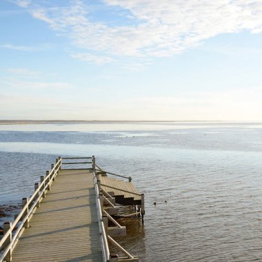 Modern ahşap iskele ve yürüyüş yolu. Göl. Eğlence alanı, orman parkı. Yumuşak güneş ışığı, açık gökyüzü. Baharın başında. Idyllic manzara. Doğa, çevre, ekoloji, eko-turizm, tatiller, hafta sonu