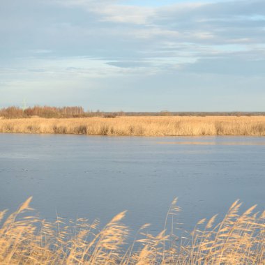 Gün batımında mavi orman gölü (nehir) panoramik hava manzarası. Yumuşak güneş ışığı, berrak gökyüzü, suya yansıyan yansımalar. Baharın başında. İdealist pastoral manzara. Doğa, çevre, ekoloji, eko-turizm