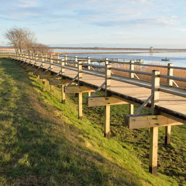 Modern ahşap yürüyüş yolu (bisiklet yolu, tahta yol). Eğlence alanı, orman parkı. Yumuşak güneş ışığı, açık gökyüzü. Baharın başında. Idyllic manzara. Doğa, çevre, ekoloji, eko-turizm, tatiller, hafta sonu