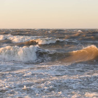Gün batımında Baltık kıyısı. Yumuşak altın güneş ışığı, parlayan gökyüzü, dalgalar. Idyllic deniz manzarası. Seyahat yerleri, eko turizm, doğa, hava durumu, iklim değişikliği. Resimli panoramik manzara
