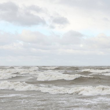 Fırtınadan sonra Baltık Denizi. Gün batımı. Resimli panoramik manzara, deniz manzarası. Doğa, çevre, sert hava, iklim değişikliği