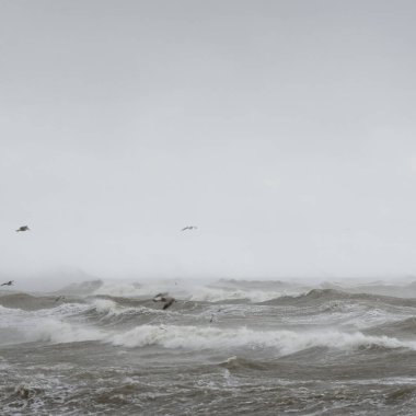 Fırtınadan sonra Baltık Denizi. Gün batımı. Resimli panoramik manzara, deniz manzarası. Doğa, çevre, sert hava, iklim değişikliği