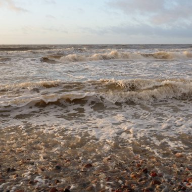 Gün batımında Baltık Denizi. Dramatik gökyüzü, mavi ve pembe parlayan bulutlar, altın güneş ışığı. Dalgalar, su sıçratma. Resimli manzara, deniz manzarası, doğa. Panoramik görünüm,