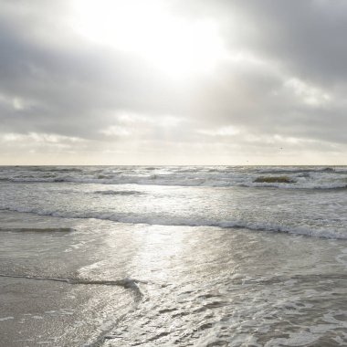 Kumlu sahilden Baltık denizinin panoramik görüntüsü (kum tepeleri). Parlak bulutlu dramatik bir gökyüzü. Dalgalar, su sıçramaları. Idyllic deniz manzarası. Bahar havası, iklim değişikliği, doğa