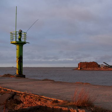 Kargo iskelesine yeni yapılmış odun yükleme. Yük taşımacılığı, lojistik, küresel iletişim, sanayi, ekonomi, ticaret, kereste sanayii, siyaset, yolsuzluk, ekolojik sorunlar