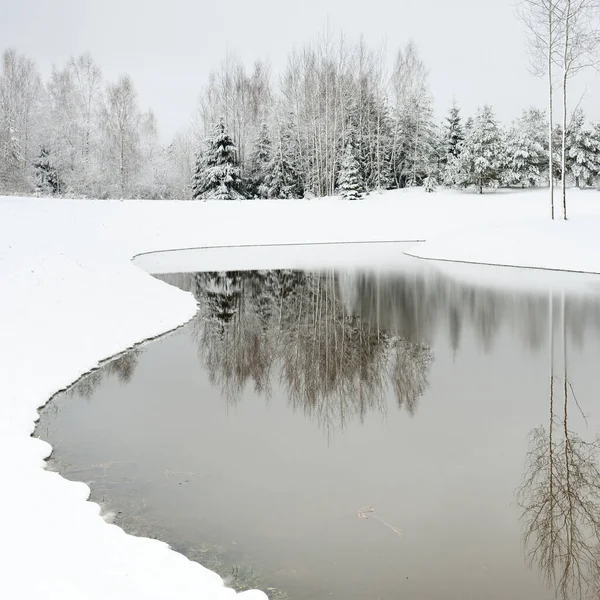 Forest River Cloudy Winter Day Blizzard Snow Hills Young Spruce —  Fotos de Stock