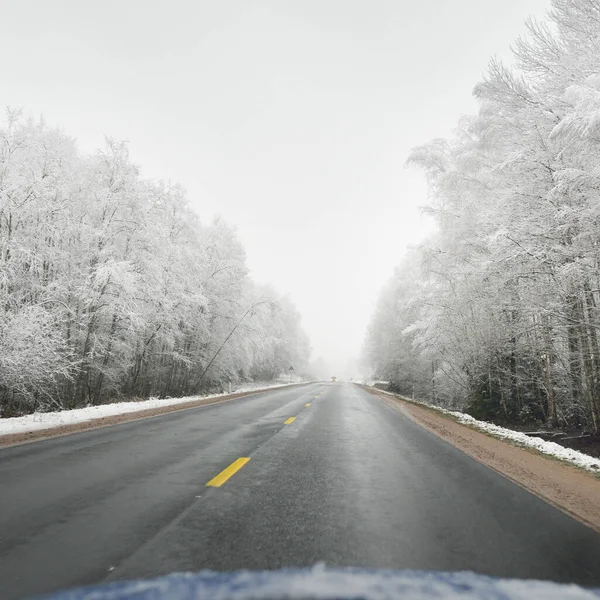 空旷的公路 柏油路 穿过白雪覆盖的森林 加拿大 大自然 圣诞节假期 遥远的地方 冬天的轮胎 危险的驾驶概念 — 图库照片