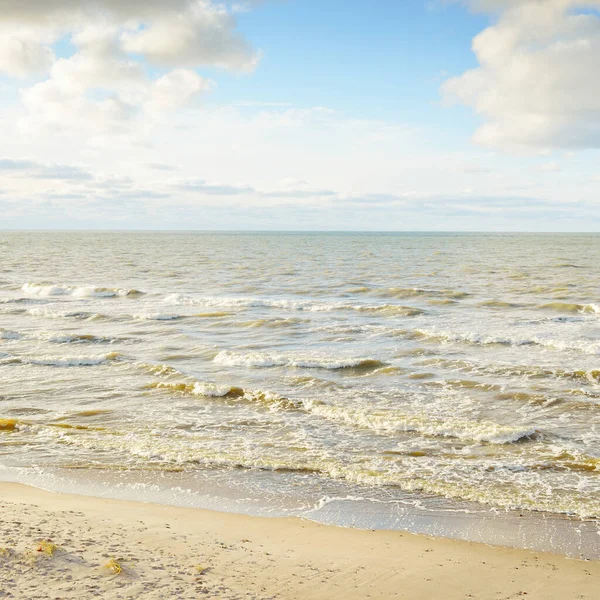 Panoramic View Baltic Sea Sandy Shore Sand Dunes Clear Sky — стокове фото