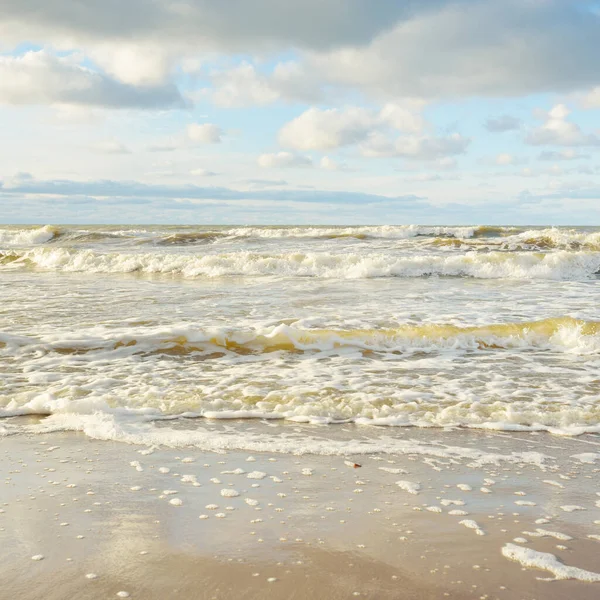 Panoramic View Baltic Sea Sandy Shore Sand Dunes Clear Sky — Fotografia de Stock