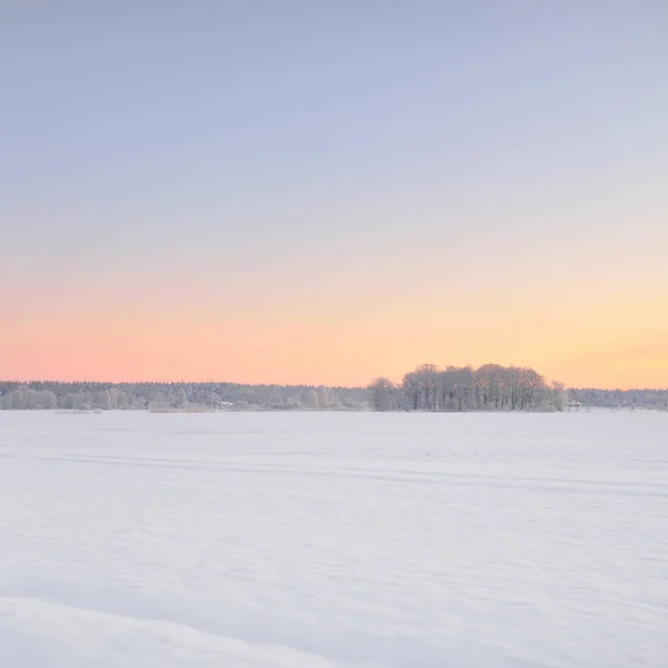 Atmospheric Landscape Snow Covered Field Forest Meadow Sunrise Pure Golden — Stock Photo, Image