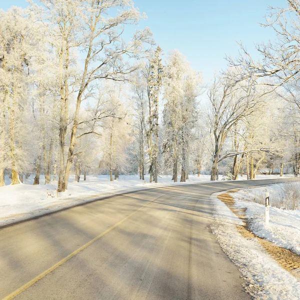 Empty Highway Asphalt Road Snow Covered Forest Fields Rural Area — Stockfoto