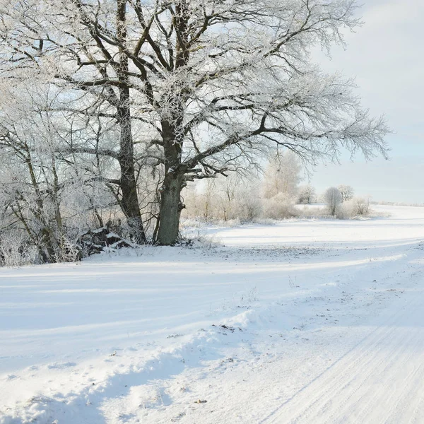 雪に覆われたフィールド 農村部を介して田舎道 車からの眺め 雪のドリフト ヨーロッパだ クリスマス休暇 遠隔地 冬のタイヤ 危険な運転の概念 — ストック写真