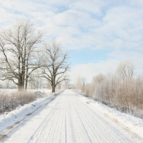 Venkovská Cesta Zasněženými Poli Venkovská Oblast Pohled Auta Sněhové Závěje — Stock fotografie