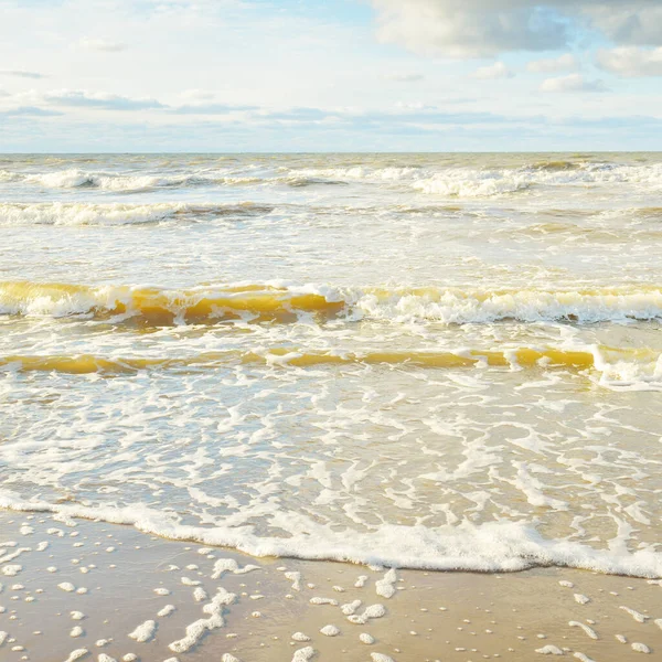 Panoramic View Baltic Sea Sandy Shore Sand Dunes Clear Sky — Fotografia de Stock