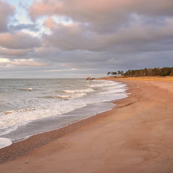 Baltic Sea Shore Sand Dunes Sunset Soft Sunlight Clear Sky — Stock Photo, Image