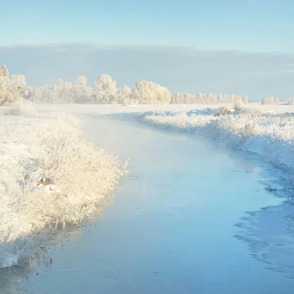 Forest Meadow Frozen River Pure Sunlight Mist Clear Blue Sky — стоковое фото