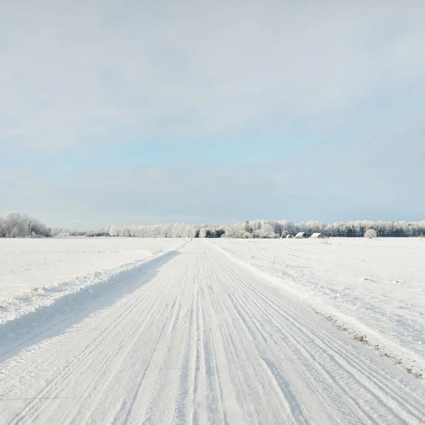 Αγροτικός Δρόμος Μέσα Από Χιονισμένα Χωράφια Αγροτική Περιοχή Θέα Από — Φωτογραφία Αρχείου
