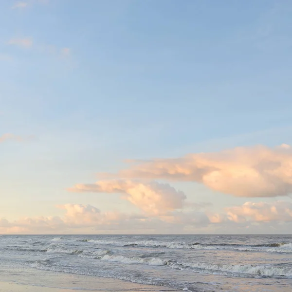 Vista Panorâmica Mar Báltico Partir Uma Costa Arenosa Dunas Areia — Fotografia de Stock