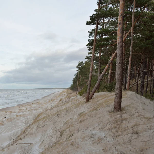 日没のバルト海の海岸 柔らかい日差し 輝く雲 波と水の飛沫と澄んだ空 牧歌的な海の景色 リーパジャ ラトビア ヨーロッパ 暖かい冬の天気 気候変動 — ストック写真