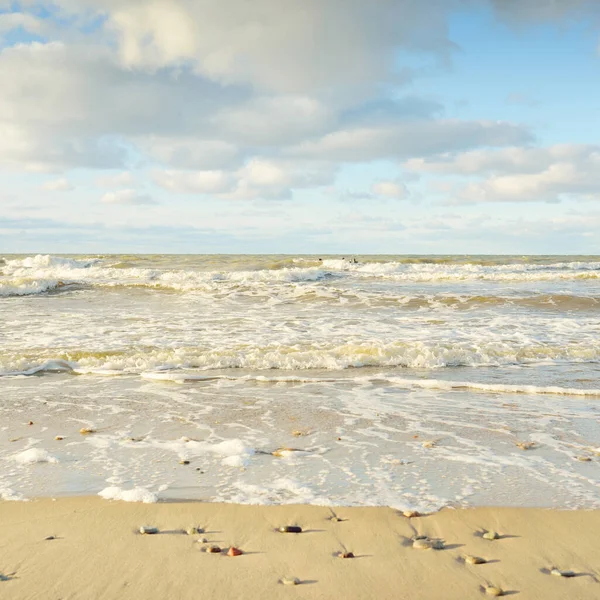 Panoramic View Baltic Sea Sandy Shore Sand Dunes Clear Sky — Zdjęcie stockowe