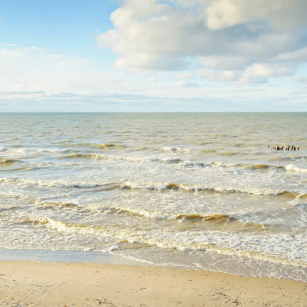 Kumlu bir sahilden (kum tepeleri) Baltık denizinin panoramik görüntüsü. Parlayan bulutlarla, dalgalarla ve su sıçramalarıyla berrak bir gökyüzü. Idyllic deniz manzarası. Sıcak kış havası, iklim değişikliği, doğa