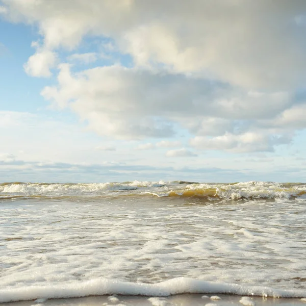 Panoramic View Baltic Sea Sandy Shore Sand Dunes Clear Sky — 스톡 사진