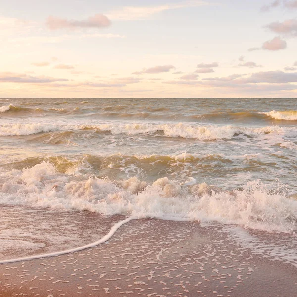 Gün batımında Baltık kıyıları (kum tepeleri). Yumuşak güneş ışığı, parlayan bulutlar, dalgalar ve su fışkıran berrak gökyüzü. Idyllic deniz manzarası. Liepaja, Letonya, Avrupa. Sıcak kış havası, iklim değişikliği, doğa